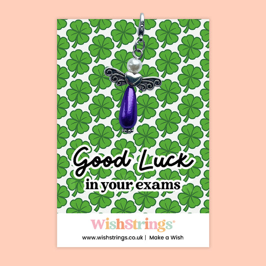 Good Luck in Your Exams - Wish Angels, Clip on Keepsake | J179