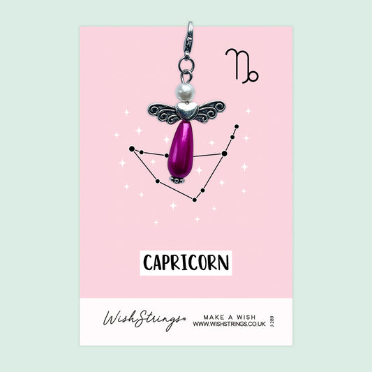 CAPRICORN, STAR SIGN HOROSCOPE - Wish Angels, Clip on Keepsake | J289