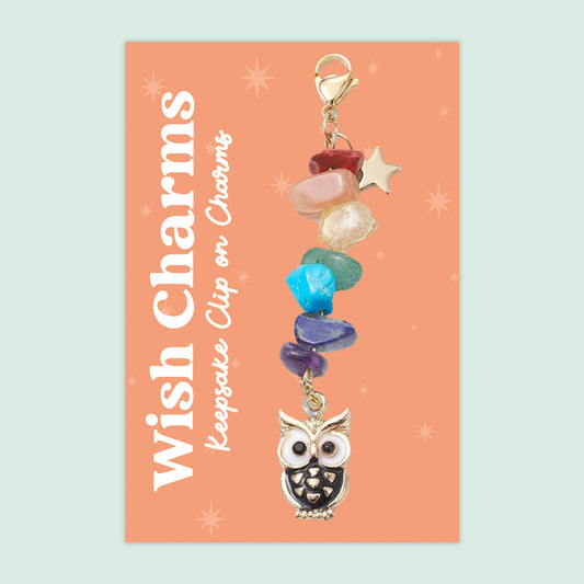 Owl - Wish Charms - Keepsake Clip on Charm with Gemstones - WCC001