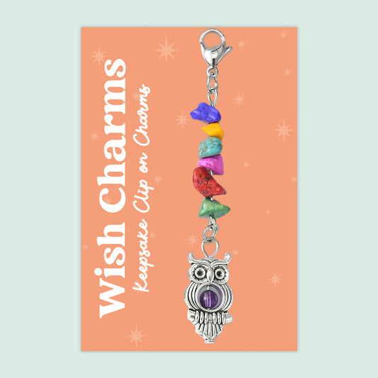 Owl - Wish Charms - Keepsake Clip on Charm with Gemstones - WCC017